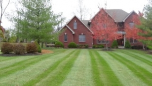 Mulching services NKY